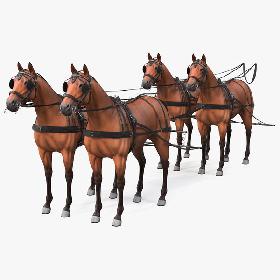 3D Team of Four Breast Collar Harness